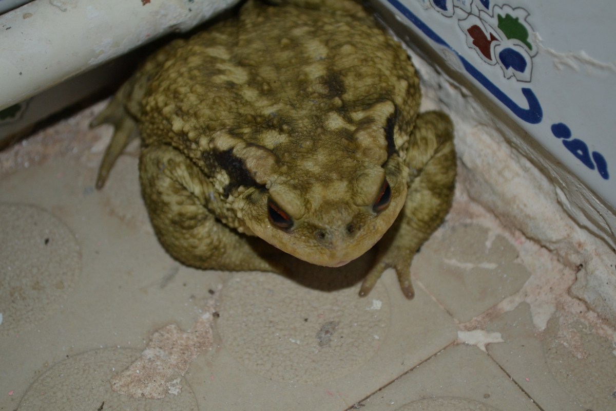 Days 28 & 29, 27th & 28th June. Last day at the beach and moving&nbsp;on