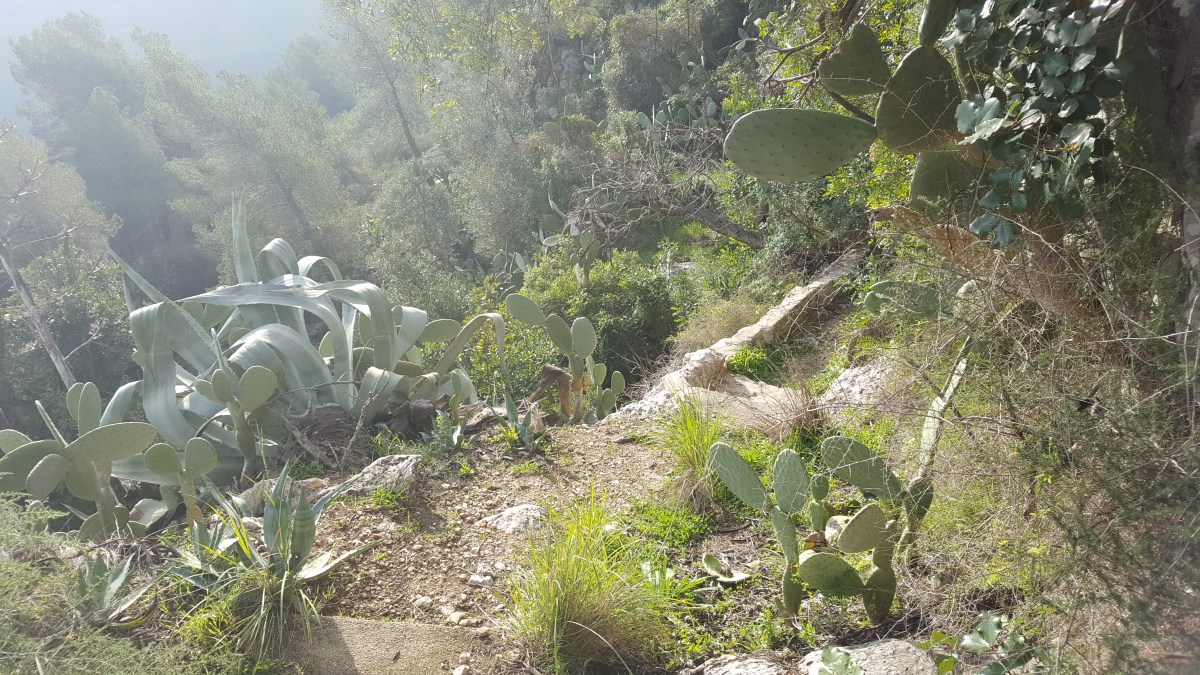 Tuesday 31st January – a bonus day in&nbsp;Cullera