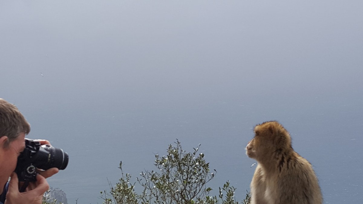 Gibraltar – Tuesday 21st February&nbsp;2017