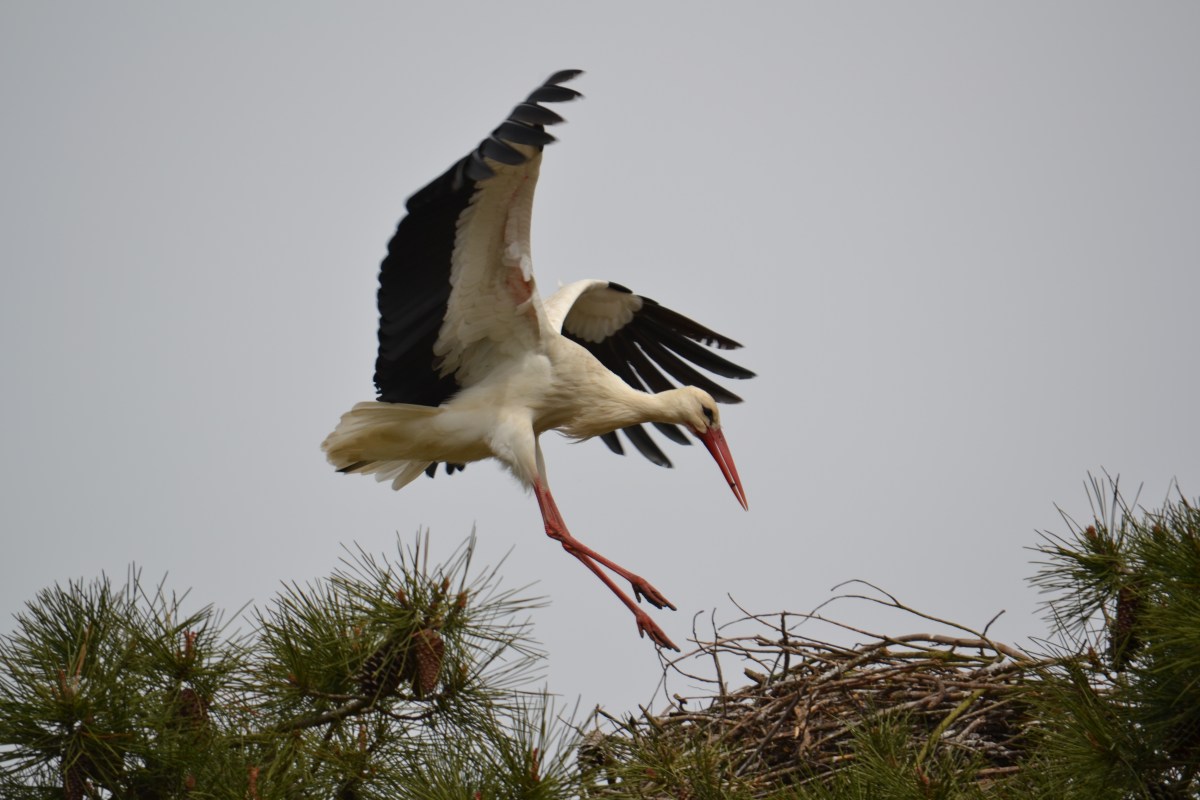 What we learnt about Portugal in March&nbsp;2017