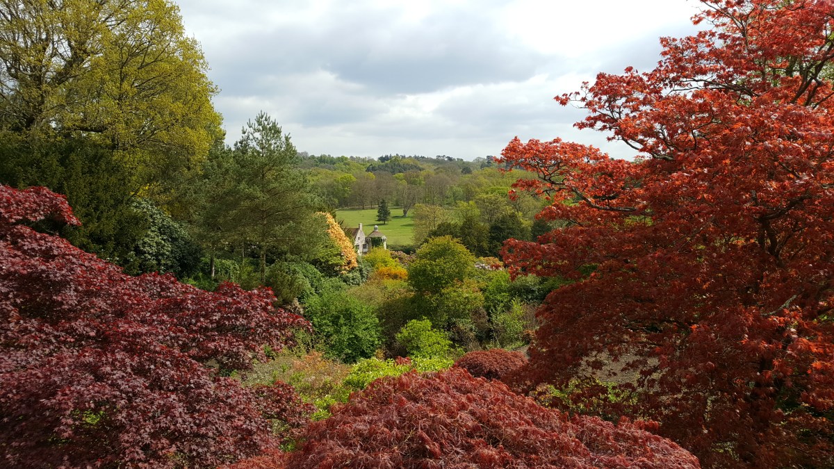 Discovering Winchelsea & the Enchanting Scotney&nbsp;Castle