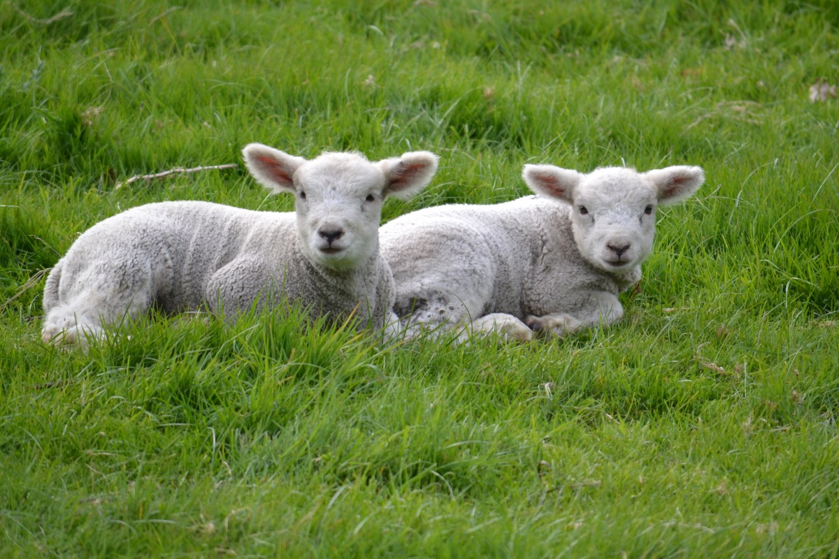 Easter Weekend in East&nbsp;Sussex