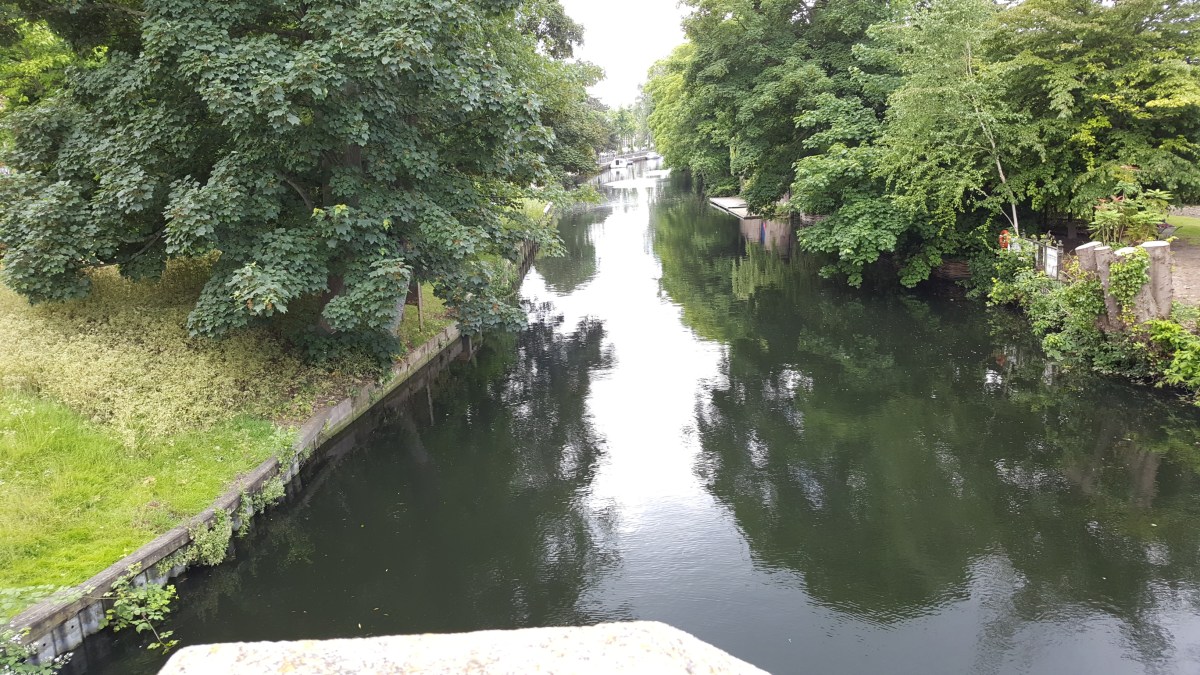 East Norfolk, Dog Racing and&nbsp;Norwich