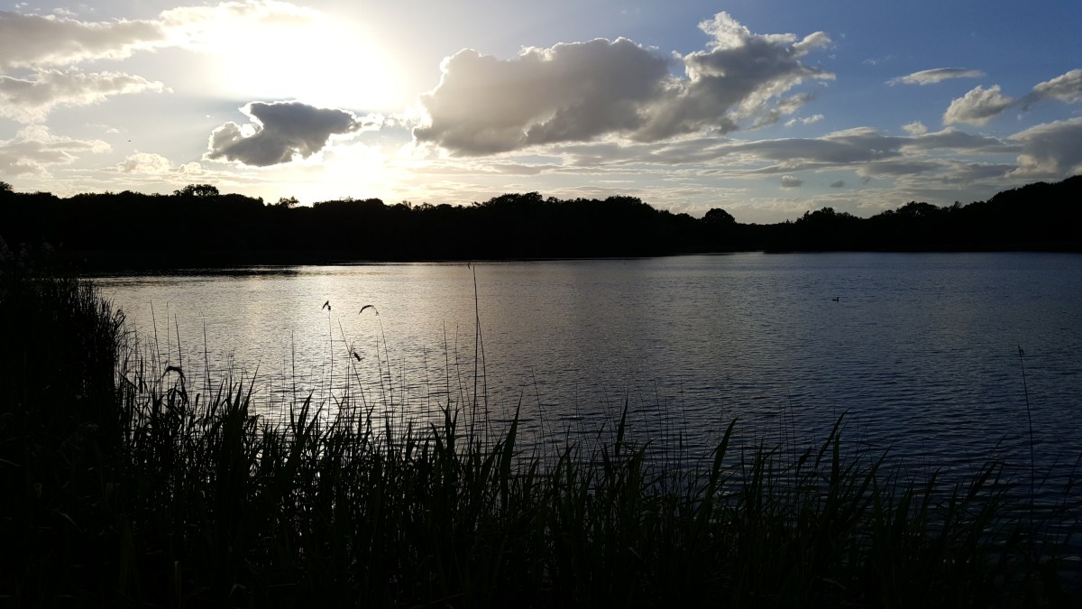 A dribble along the coast, a ride along the steam railway and a wander around Filby & Ormsby&nbsp;Broads