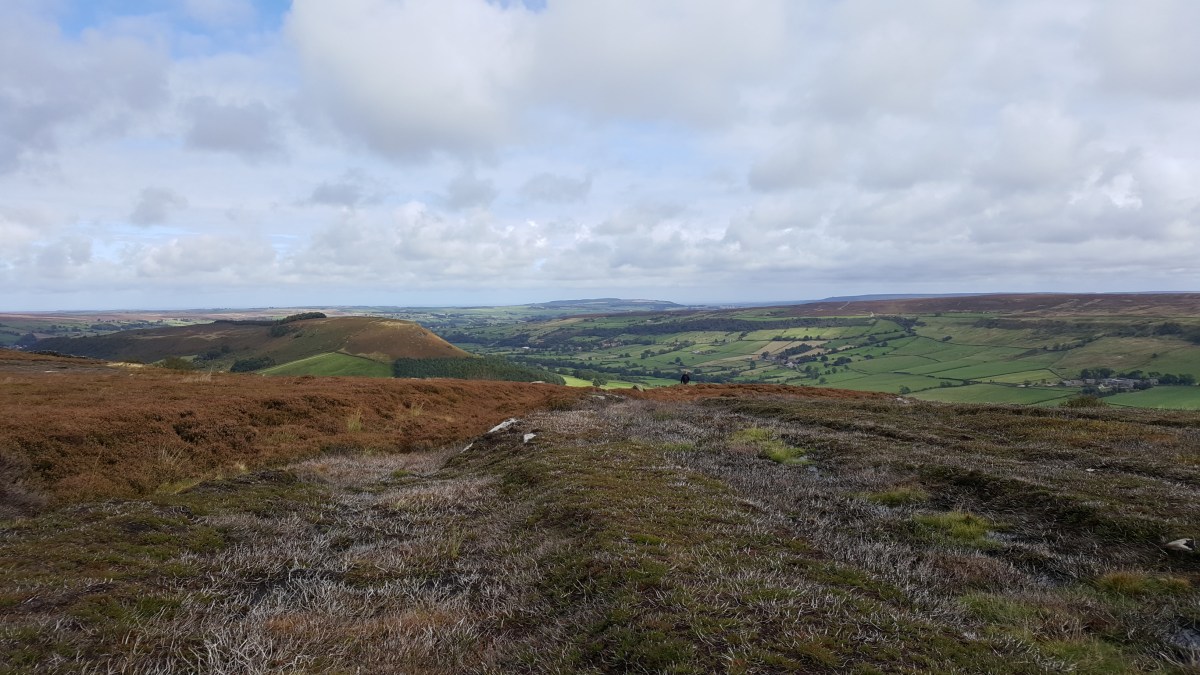 A few more days on the Moors and seeing the Transporter&nbsp;Bridge