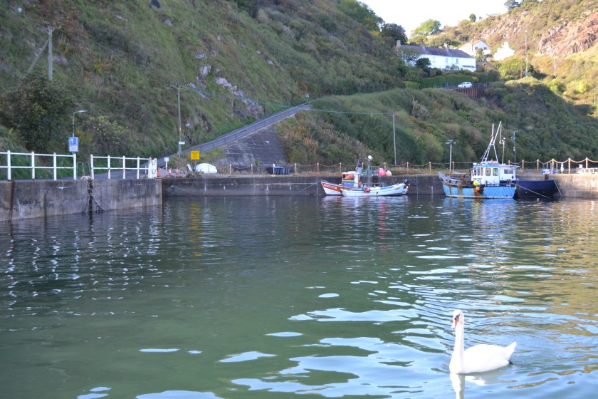 Northumbrerland Sept 2017 (103)