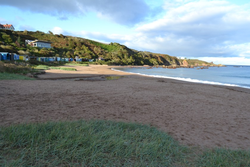 Northumbrerland Sept 2017 (122)