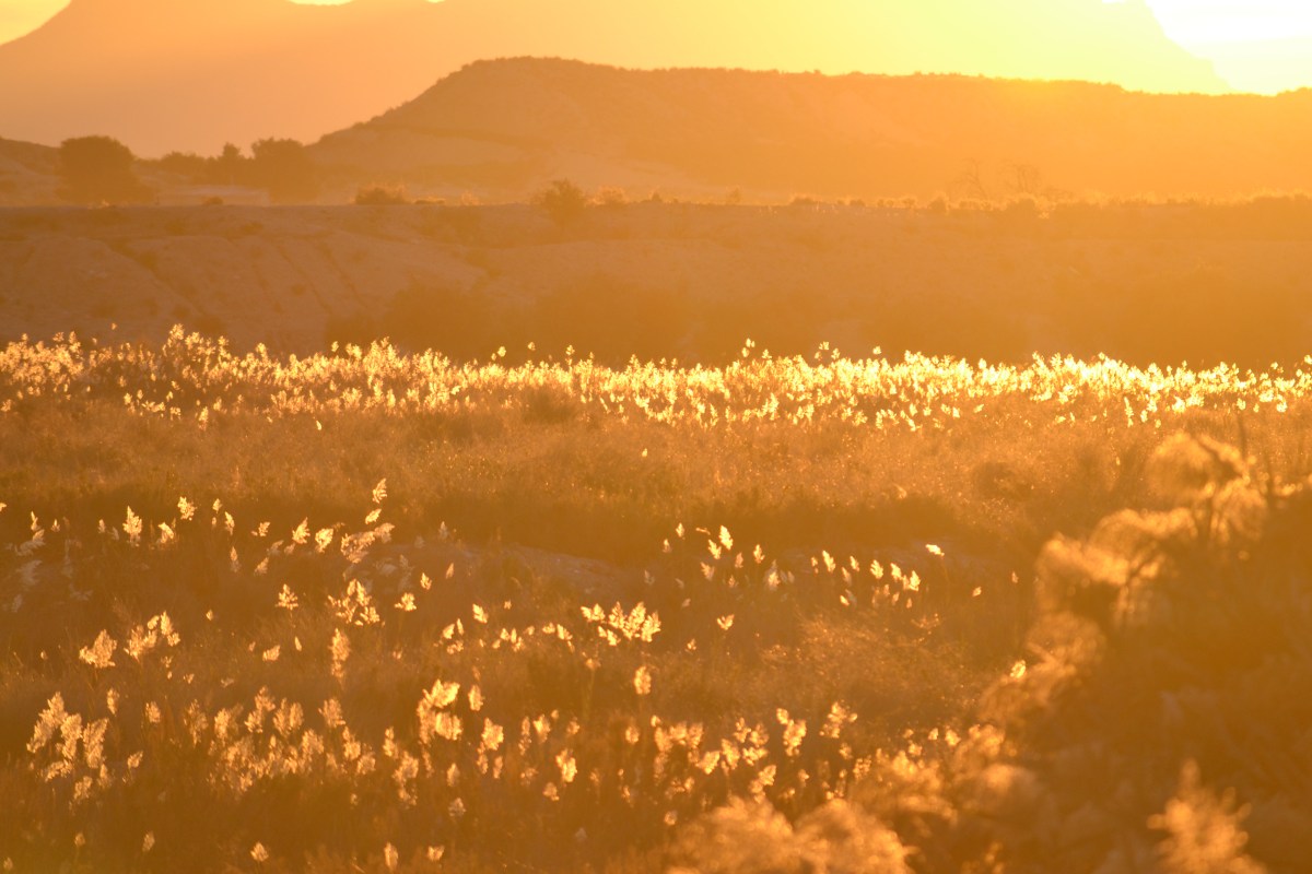 Campsite Reviews aimed at&nbsp;motorhomers.