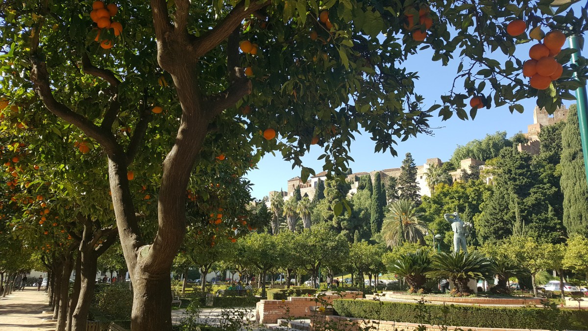 Malaga – an Under-appreciated City?