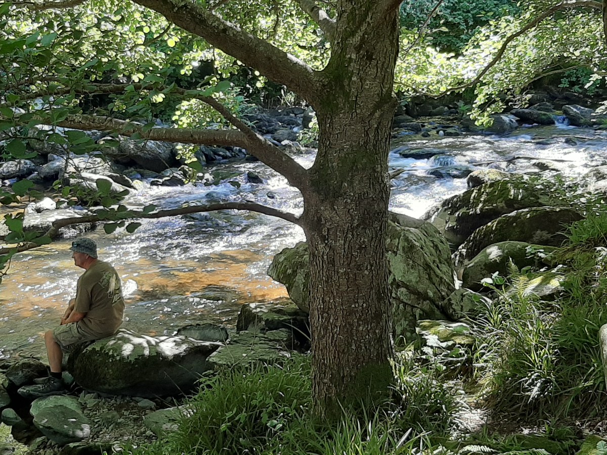 Walk Lynmouth to Watersmeet (just like Julia Bradbury&nbsp;did)